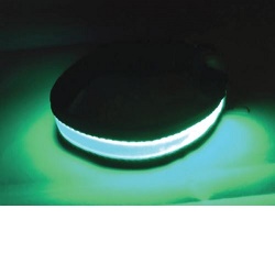 Svítící obojek velikost S, zelený 20-40cm
